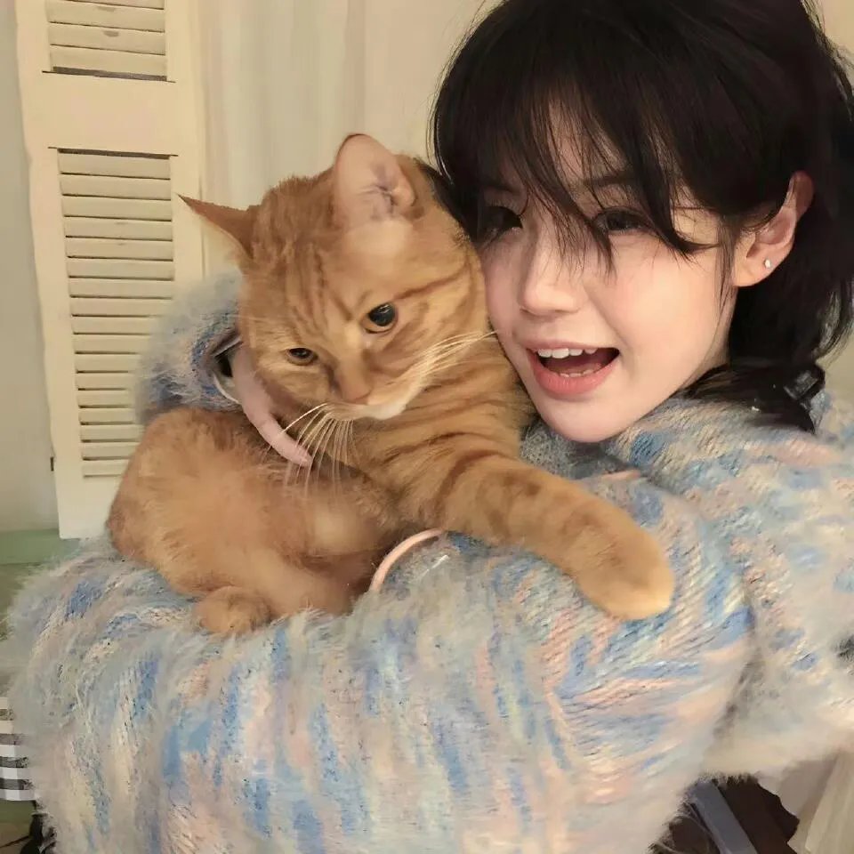 狐假虎威之拿着鸡毛当令箭